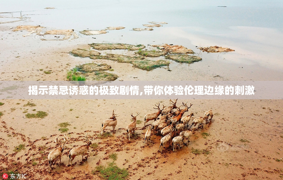 揭示禁忌诱惑的极致剧情,带你体验伦理边缘的刺激