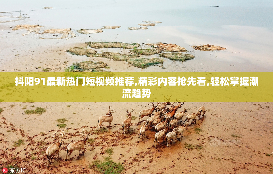 抖阳91最新热门短视频推荐,精彩内容抢先看,轻松掌握潮流趋势