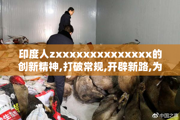 印度人zxxxxxxxxxxxxxx的创新精神,打破常规,开辟新路,为社会进步