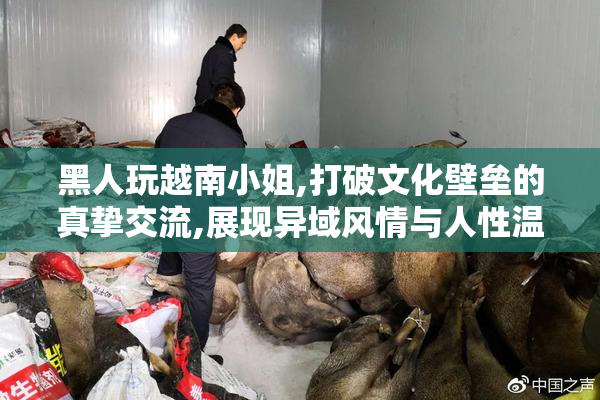 黑人玩越南小姐,打破文化壁垒的真挚交流,展现异域风情与人性温暖