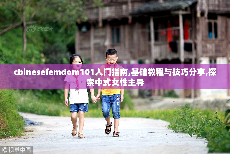 cbinesefemdom101入门指南,基础教程与技巧分享,探索中式女性主导