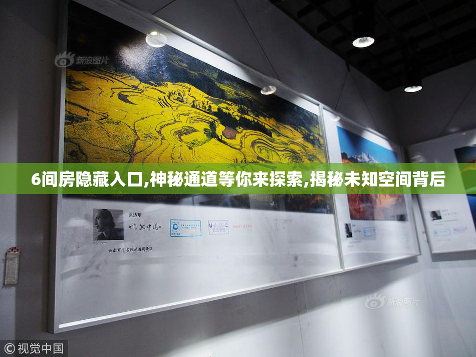 6间房隐藏入口,神秘通道等你来探索,揭秘未知空间背后