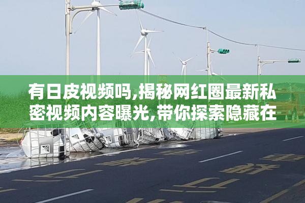 有日皮视频吗,揭秘网红圈最新私密视频内容曝光,带你探索隐藏在