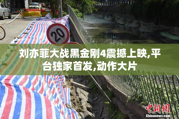 刘亦菲大战黑金刚4震撼上映,平台独家首发,动作大片