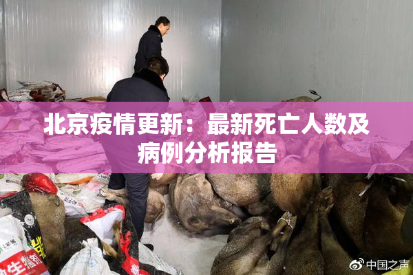 北京疫情更新：最新死亡人数及病例分析报告
