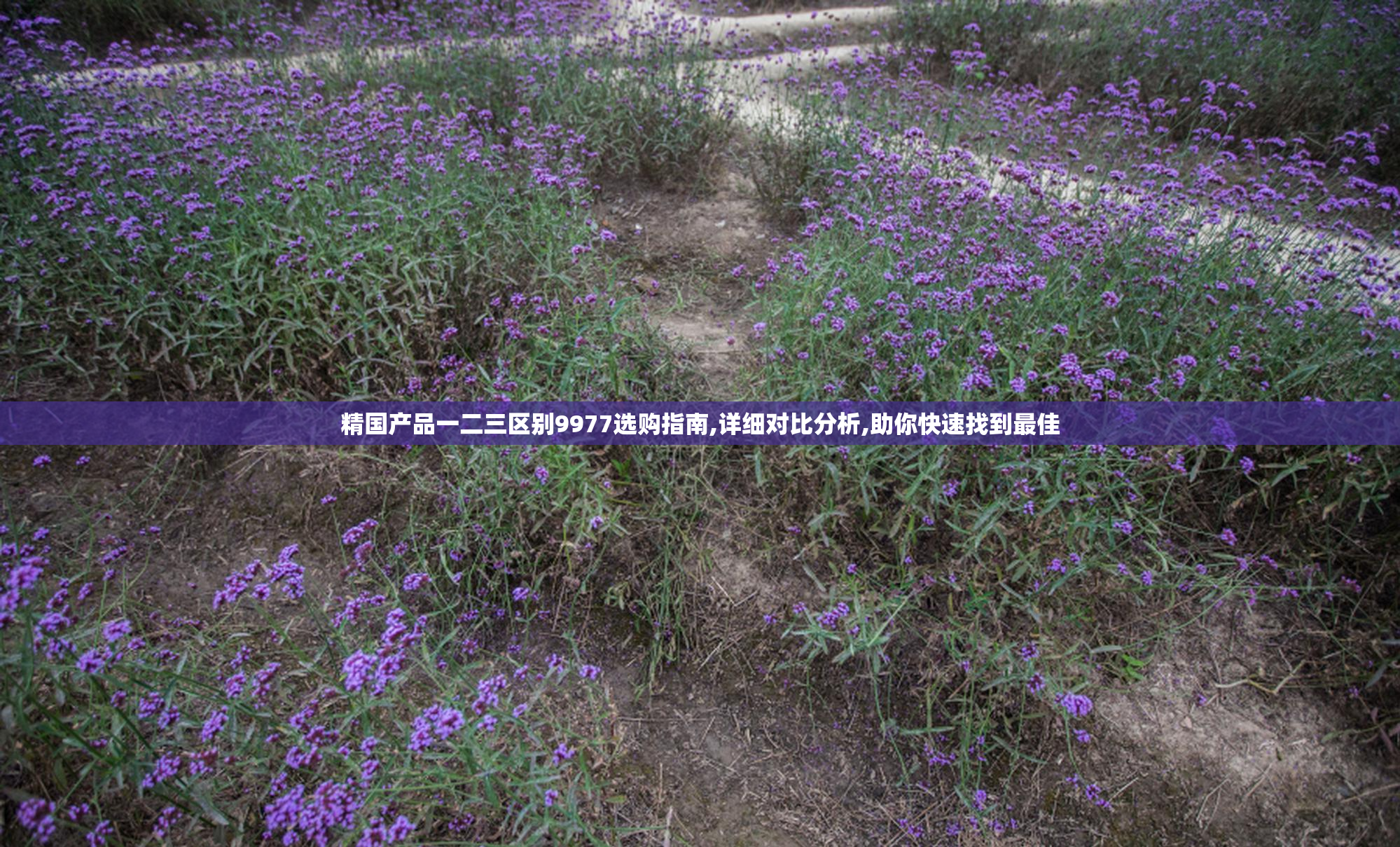 精国产品一二三区别9977选购指南,详细对比分析,助你快速找到最佳