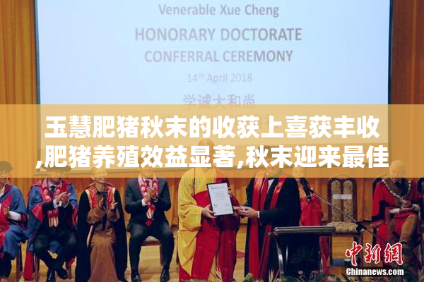 玉慧肥猪秋末的收获上喜获丰收,肥猪养殖效益显著,秋末迎来最佳