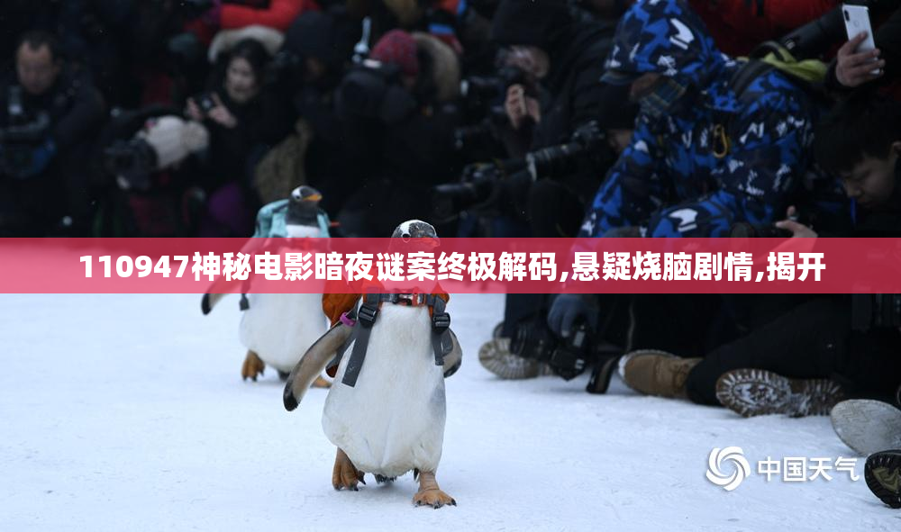 110947神秘电影暗夜谜案终极解码,悬疑烧脑剧情,揭开