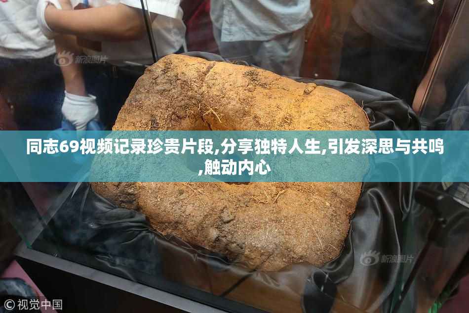 同志69视频记录珍贵片段,分享独特人生,引发深思与共鸣,触动内心