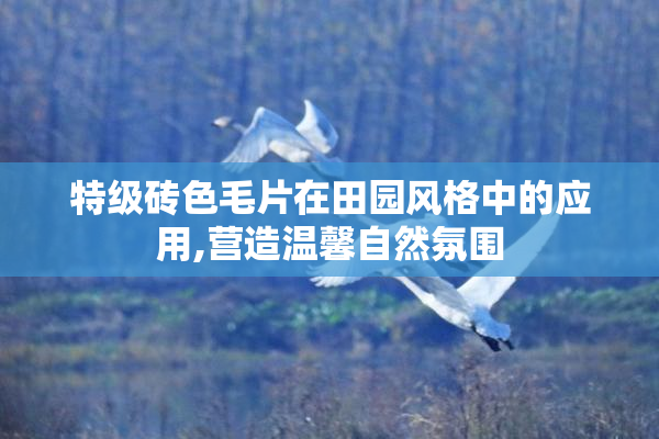 特级砖色毛片在田园风格中的应用,营造温馨自然氛围