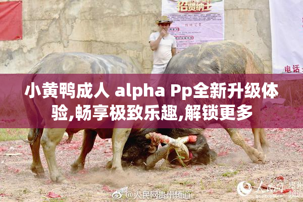 小黄鸭成人 alpha Pp全新升级体验,畅享极致乐趣,解锁更多