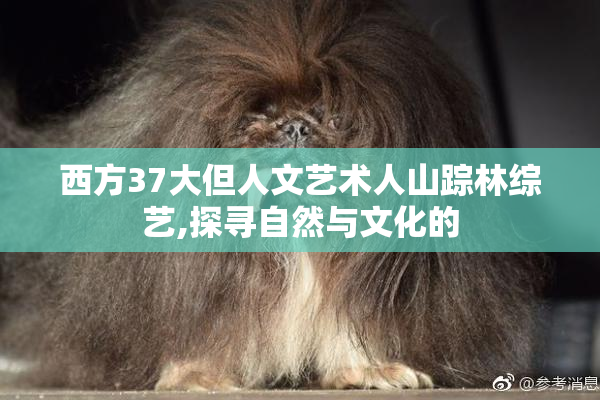 西方37大但人文艺术人山踪林综艺,探寻自然与文化的