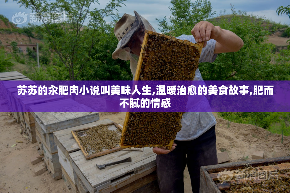 苏苏的汆肥肉小说叫美味人生,温暖治愈的美食故事,肥而不腻的情感