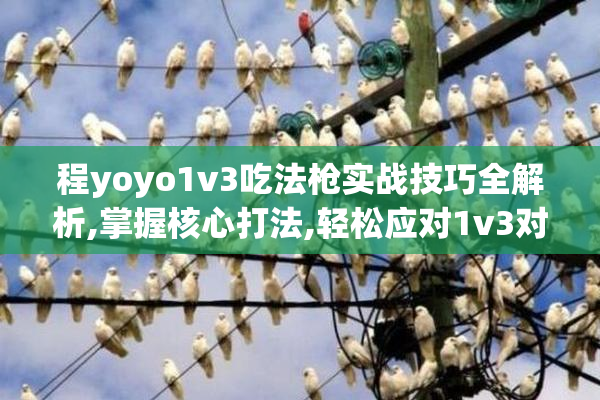 程yoyo1v3吃法枪实战技巧全解析,掌握核心打法,轻松应对1v3对战