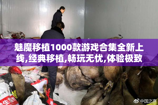 魅魔移植1000款游戏合集全新上线,经典移植,畅玩无忧,体验极致乐趣
