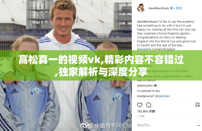 高松真一的视频vk,精彩内容不容错过,独家解析与深度分享