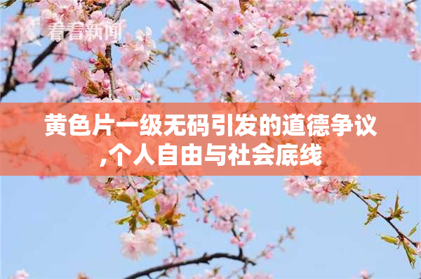 黄色片一级无码引发的道德争议,个人自由与社会底线