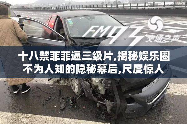 十八禁菲菲逼三级片,揭秘娱乐圈不为人知的隐秘幕后,尺度惊人