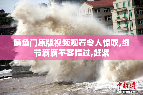 鳝鱼门原版视频观看令人惊叹,细节满满不容错过,赶紧