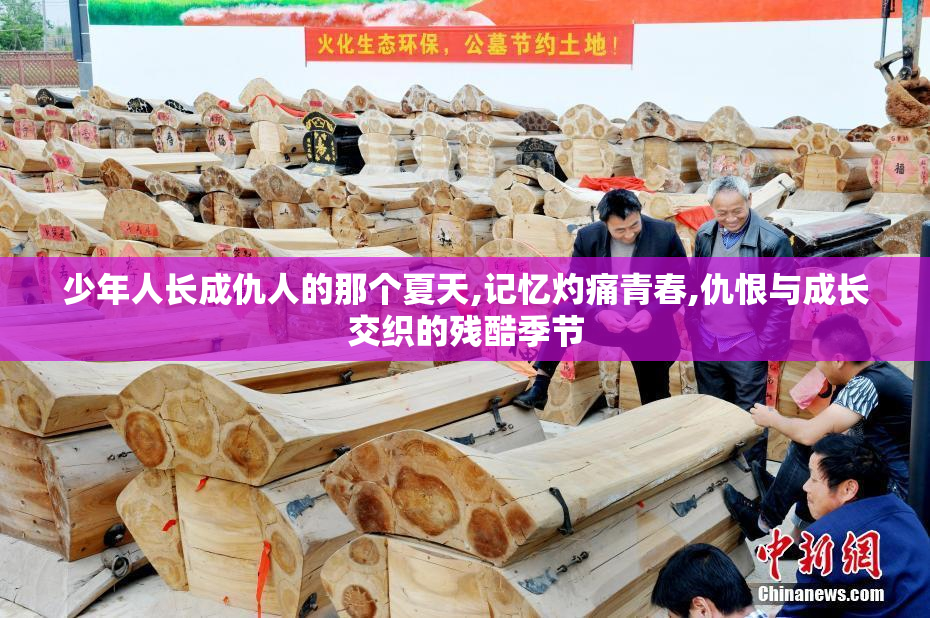 少年人长成仇人的那个夏天,记忆灼痛青春,仇恨与成长交织的残酷季节