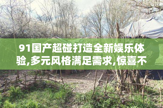 91国产超碰打造全新娱乐体验,多元风格满足需求,惊喜不