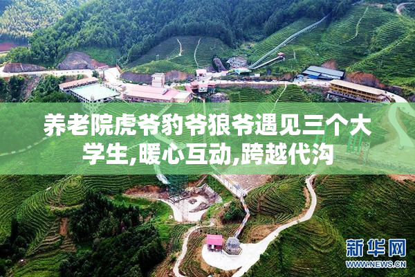 养老院虎爷豹爷狼爷遇见三个大学生,暖心互动,跨越代沟