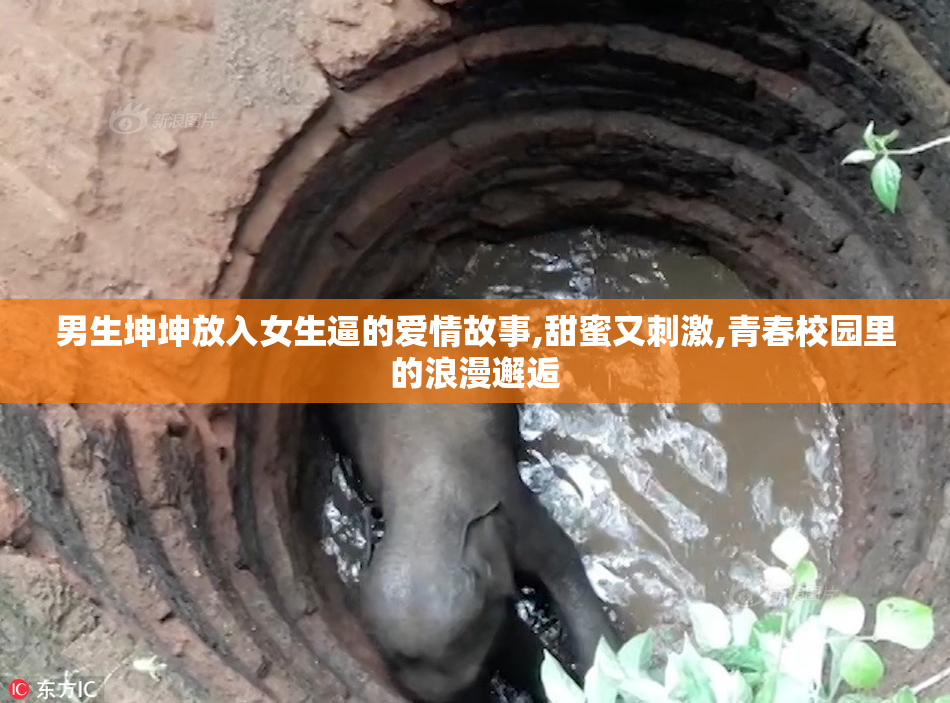 男生坤坤放入女生逼的爱情故事,甜蜜又刺激,青春校园里的浪漫邂逅