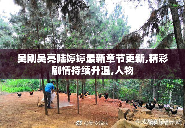 吴刚吴亮陆婷婷最新章节更新,精彩剧情持续升温,人物