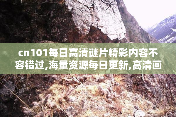 cn101每日高清谜片精彩内容不容错过,海量资源每日更新,高清画质