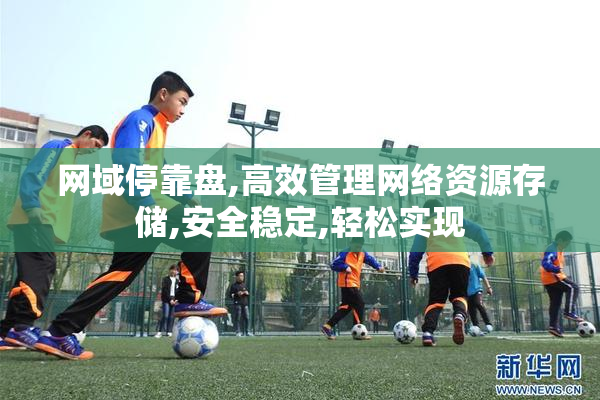 网域停靠盘,高效管理网络资源存储,安全稳定,轻松实现