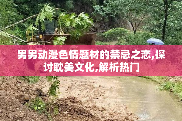 男男动漫色情题材的禁忌之恋,探讨耽美文化,解析热门
