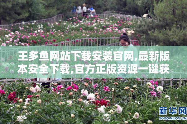 王多鱼网站下载安装官网,最新版本安全下载,官方正版资源一键获取