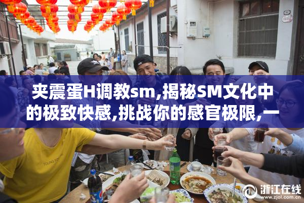 夹震蛋H调教sm,揭秘SM文化中的极致快感,挑战你的感官极限,一探