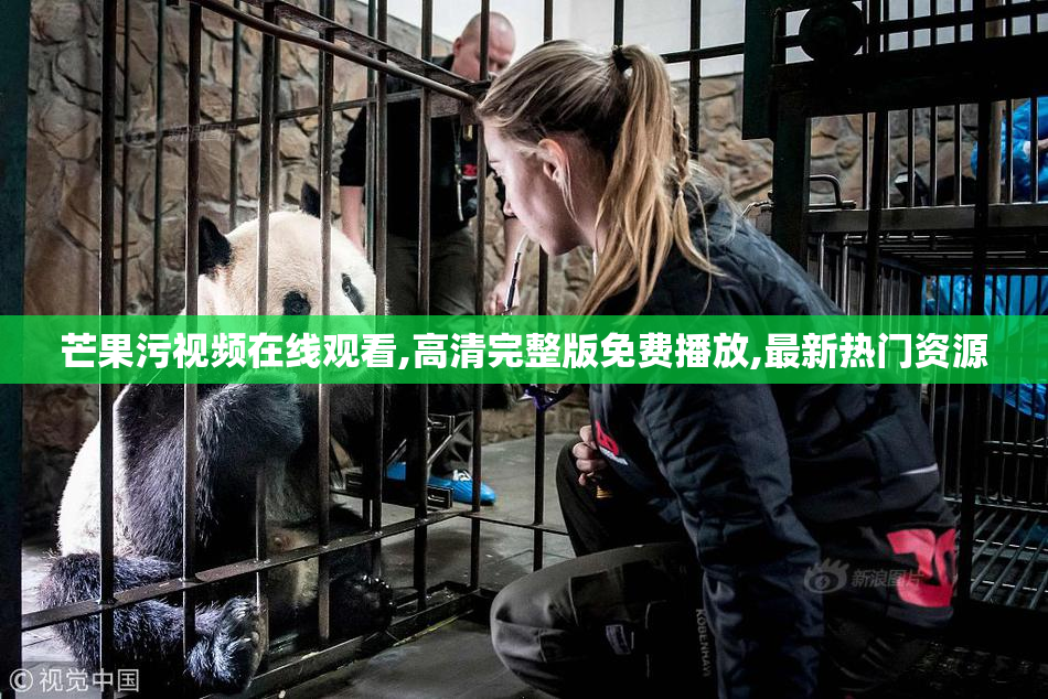 芒果污视频在线观看,高清完整版免费播放,最新热门资源