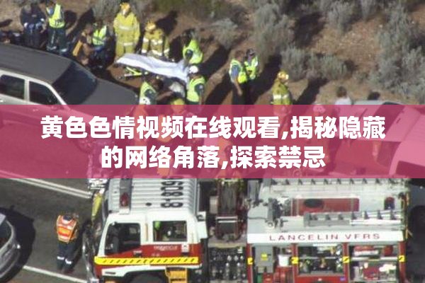 黄色色情视频在线观看,揭秘隐藏的网络角落,探索禁忌
