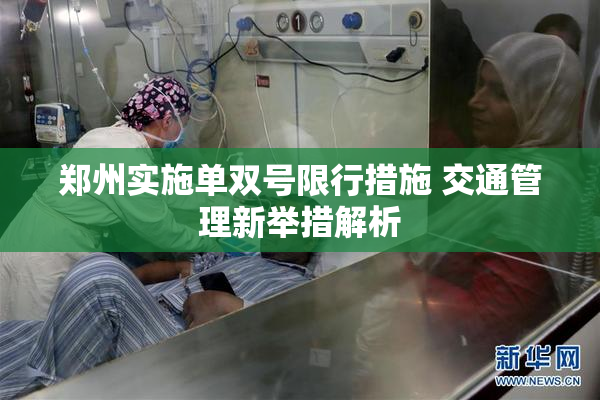 郑州实施单双号限行措施 交通管理新举措解析
