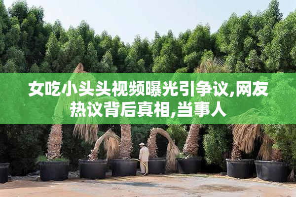 女吃小头头视频曝光引争议,网友热议背后真相,当事人