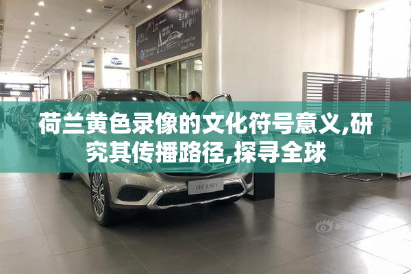 荷兰黄色录像的文化符号意义,研究其传播路径,探寻全球