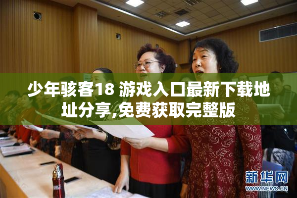 少年骇客18 游戏入口最新下载地址分享,免费获取完整版