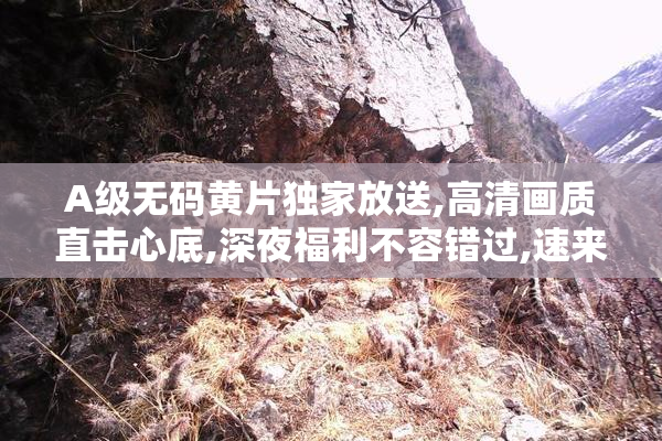 A级无码黄片独家放送,高清画质直击心底,深夜福利不容错过,速来