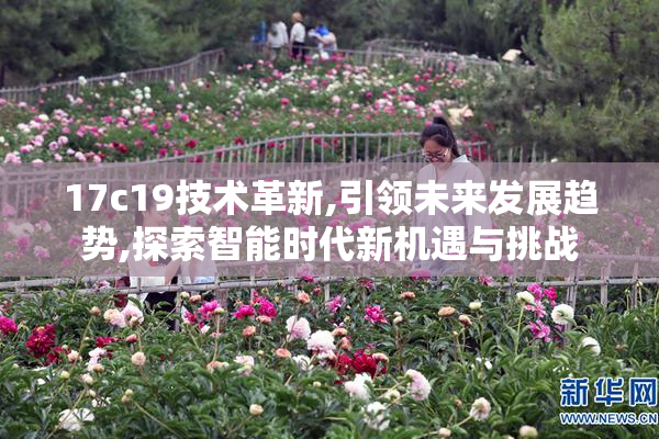 17c19技术革新,引领未来发展趋势,探索智能时代新机遇与挑战