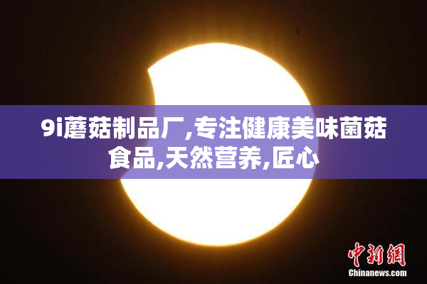 9i蘑菇制品厂,专注健康美味菌菇食品,天然营养,匠心