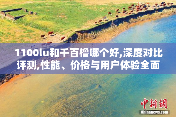 1100lu和千百橹哪个好,深度对比评测,性能、价格与用户体验全面解析