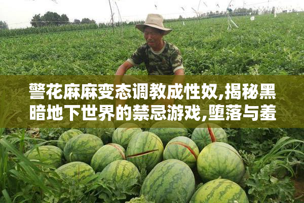 警花麻麻变态调教成性奴,揭秘黑暗地下世界的禁忌游戏,堕落与羞辱