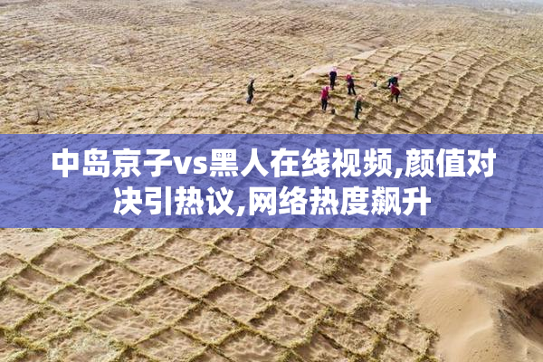 中岛京子vs黑人在线视频,颜值对决引热议,网络热度飙升