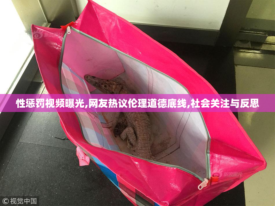 性惩罚视频曝光,网友热议伦理道德底线,社会关注与反思
