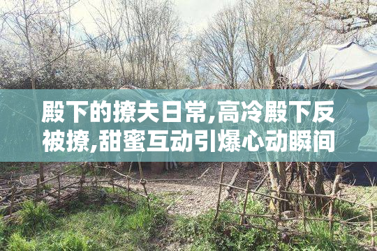 殿下的撩夫日常,高冷殿下反被撩,甜蜜互动引爆心动瞬间