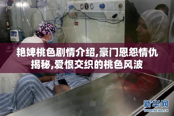 艳婢桃色剧情介绍,豪门恩怨情仇揭秘,爱恨交织的桃色风波
