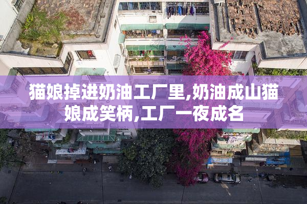 猫娘掉进奶油工厂里,奶油成山猫娘成笑柄,工厂一夜成名