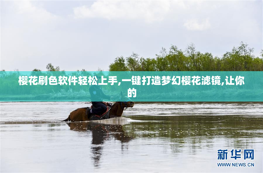 樱花刷色软件轻松上手,一键打造梦幻樱花滤镜,让你的